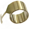 Customized High Precision Long Constant Force Spring