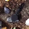 P-038 4CM Outdoor Multi-Tool Black Beige Green Braided Rope Eagle Beak Keychain Heavy Duty Retractable Badge Clip Carabiner